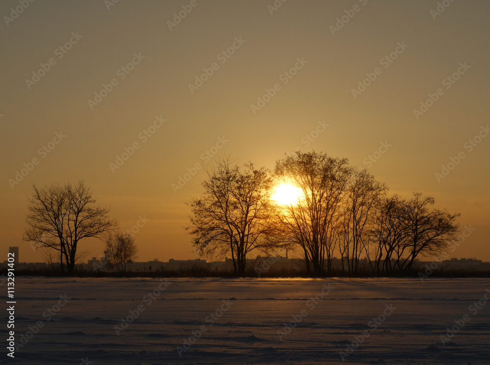 Winter in der Hauptstadt