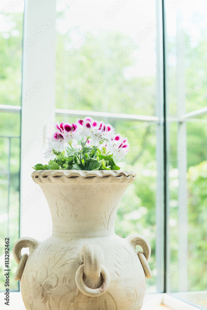 Fototapeta premium Terracotta vase or flowers pot with lovely geranium flowers over window background, home decoration and interior