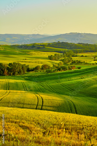 View of green fields at sunset in Tuscany
