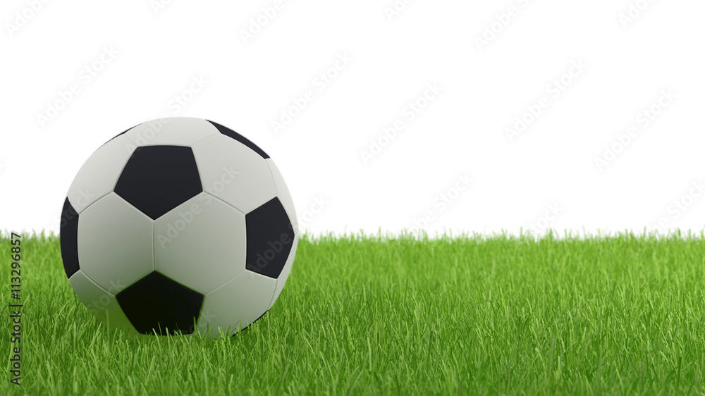 Soccer Ball on Green Grass with White Background