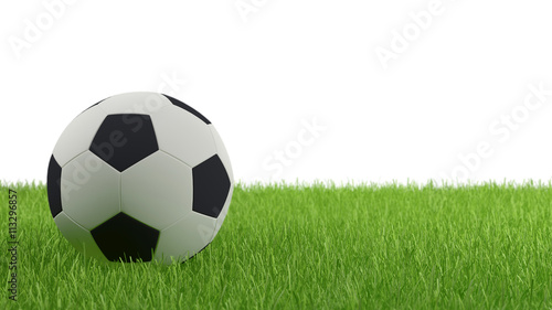Soccer Ball on Green Grass with White Background