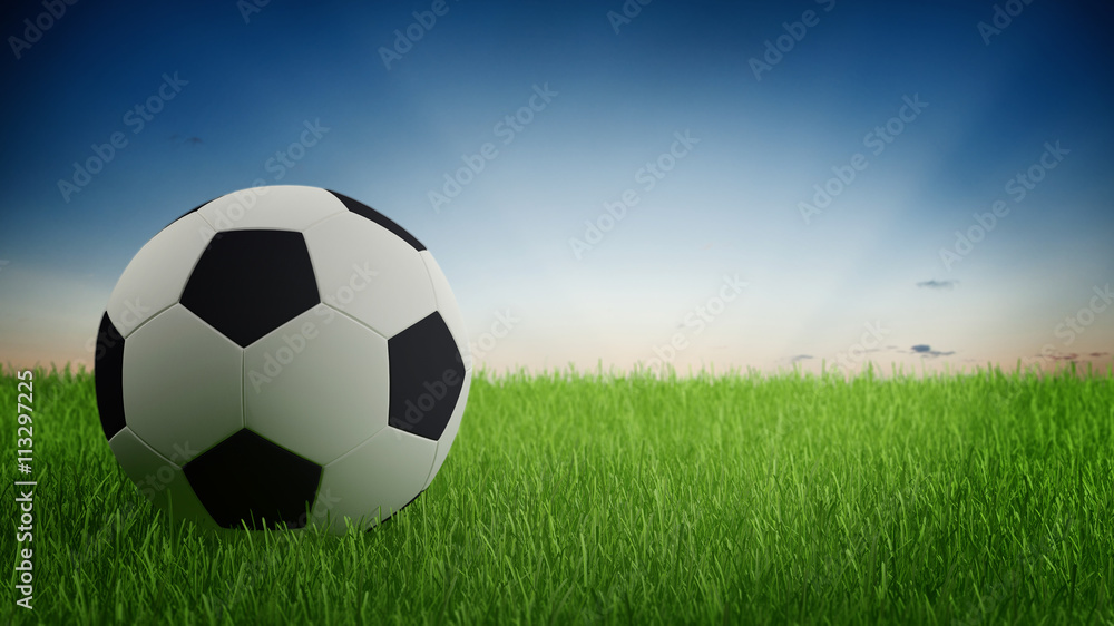 Naklejka premium Soccer Ball on Green Grass with Early Morning Sky