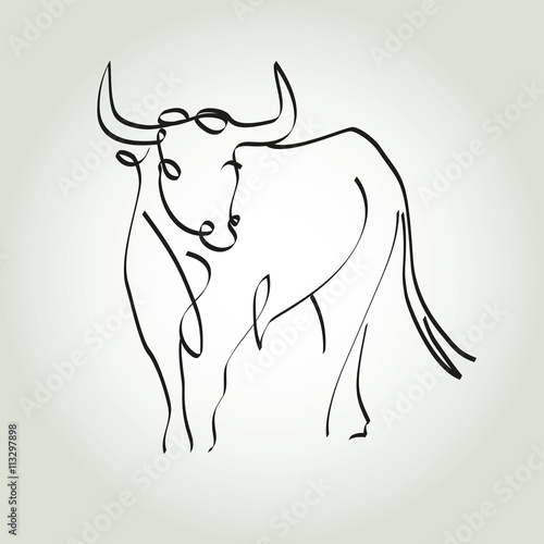 Bull in a minimal line style vector