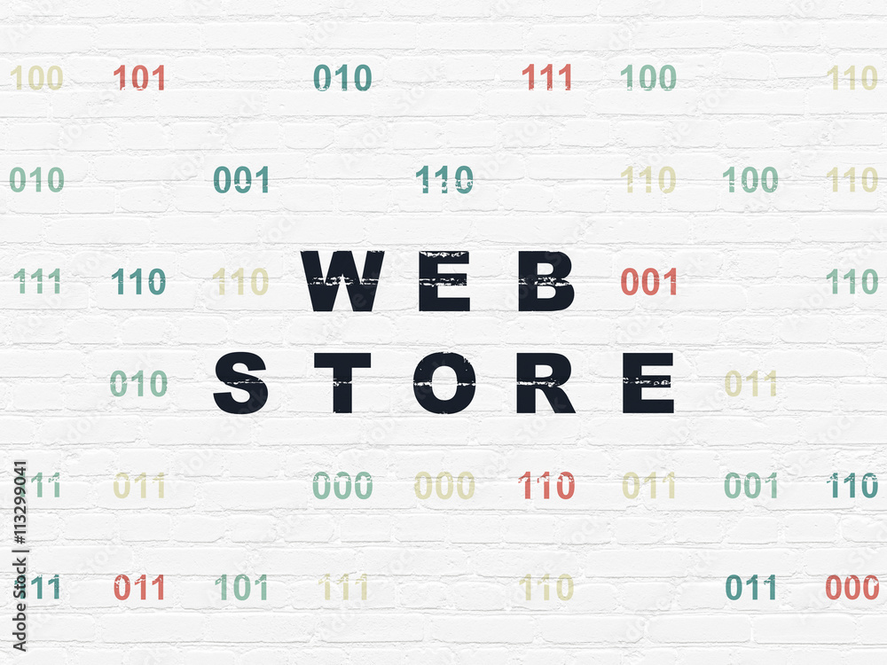 Web development concept: Web Store on wall background Web development concept: Web Store on wall background