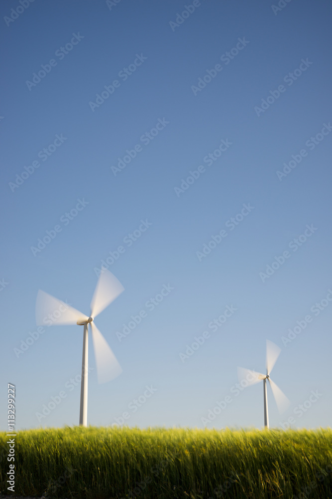 Fototapeta premium Wind energy concept