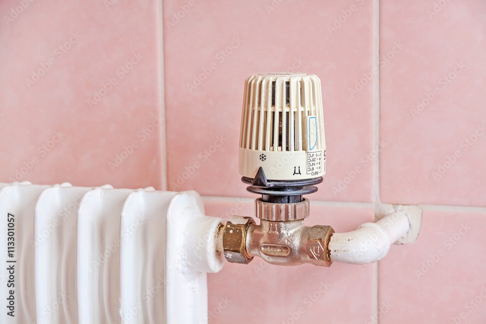 radiator with thermostat radiator with thermostat