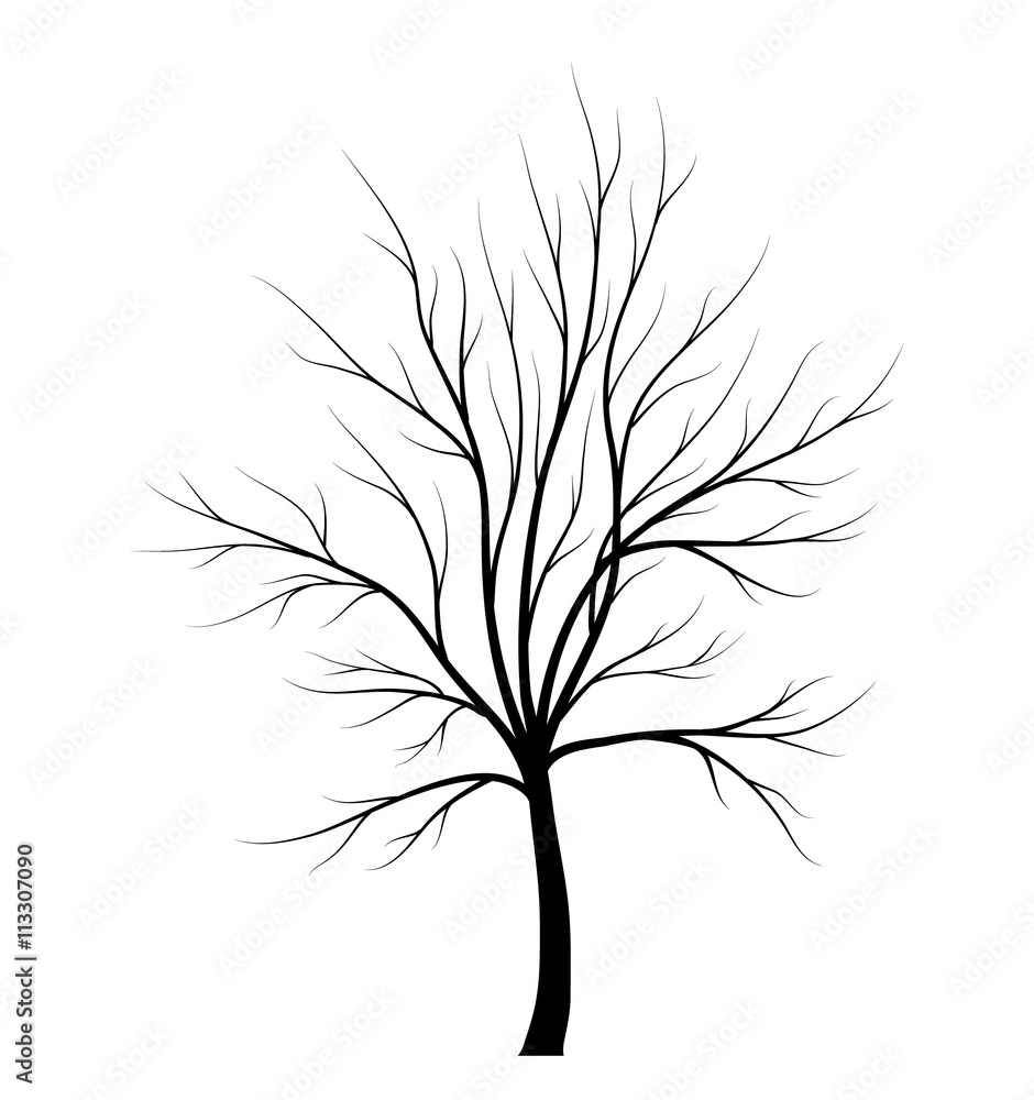 Obraz premium Tree silhouette isolated on white background