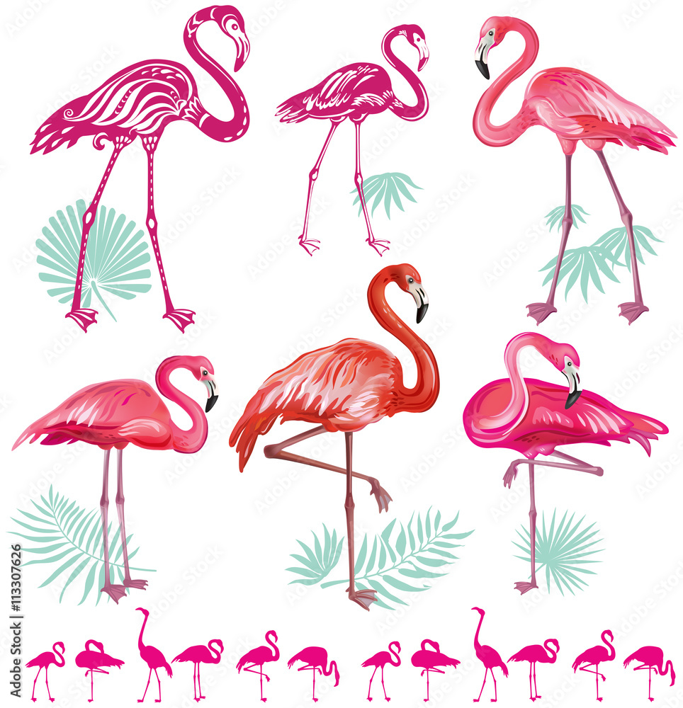 Fototapeta premium Set of pink flamingoes