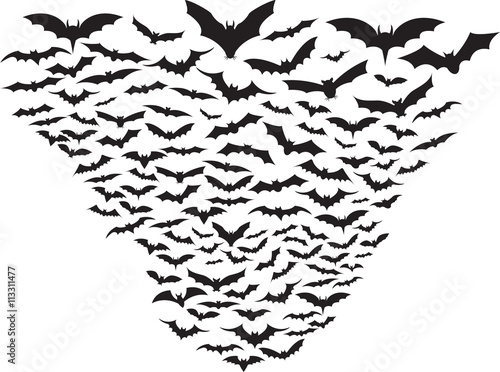 Set of bats flying isolated on white