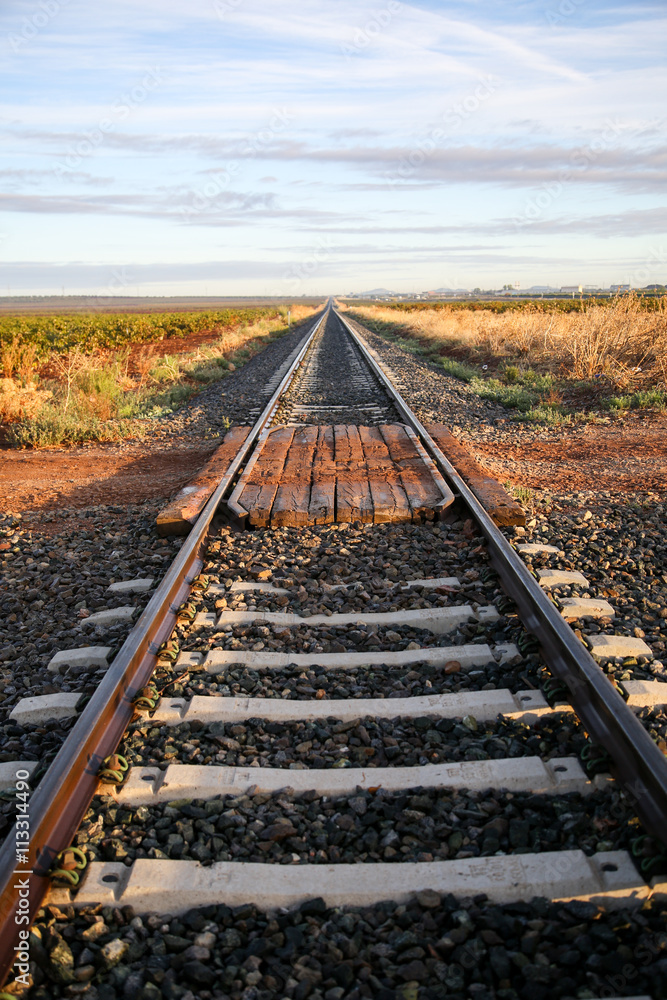 Fototapeta premium lavandes en provence