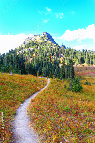 Mount Rainier, Washington