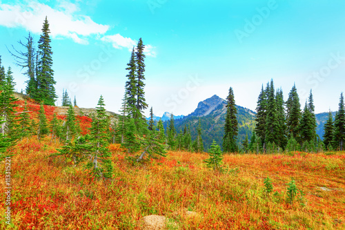 Mount Rainier, Washington