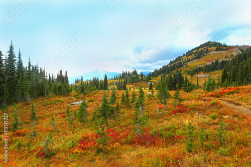 Mount Rainier, Washington