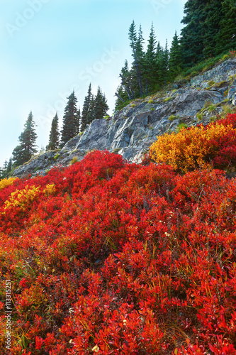 Mount Rainier, Washington