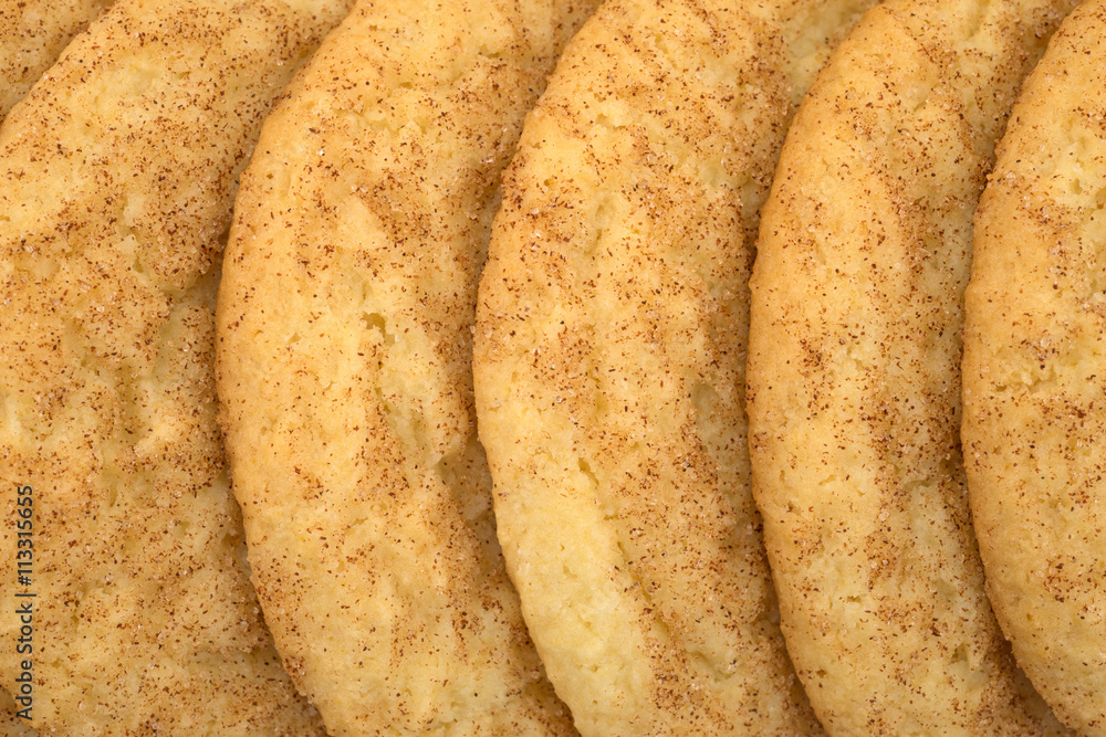 Fresh baked snickerdoodle cookies in a row close view. Fresh baked snickerdoodle cookies in a row close view.