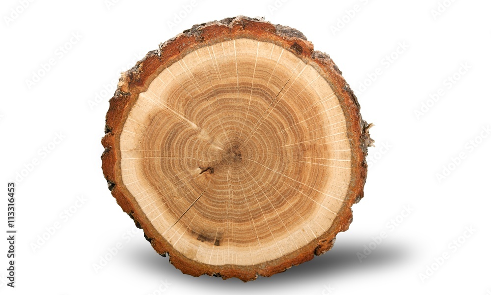 Tree Ring. Tree Ring.