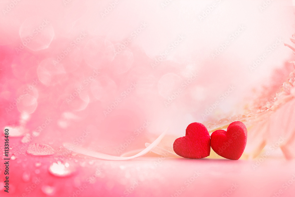 The red Heart shapes with rain drop and soft flower background i