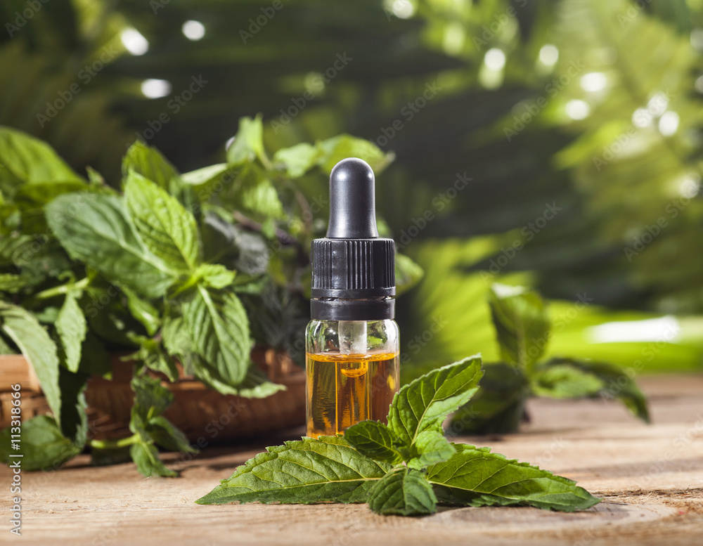 Mint Essential Oil Mint Essential Oil