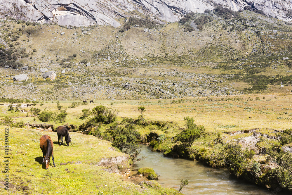 Huascaran National Park