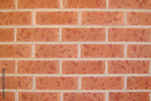 Red Textured Brick