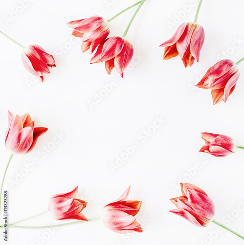 wreath frame with red tulips isolated on white background. flat lay, overhead view, tulip flower
