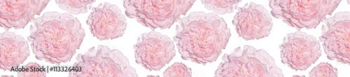 Fototapeta Naklejka Na Ścianę i Meble -   panorama pattern of pale pink peonies luxury fresh