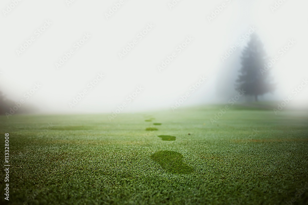 The footprints on the smooth green grass