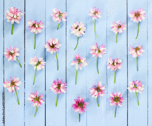 Meadow pink flowers on blue wooden background.