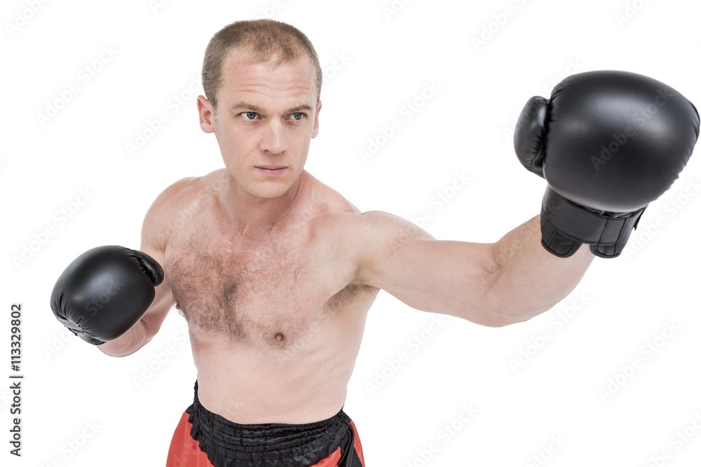 Boxer performing boxing stance