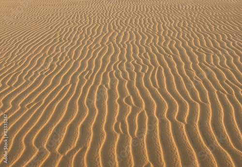texture of yellow sand