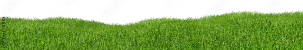 green hilly grass landscape panorama isolated on white background / Grün hügelige Wiese Gras landschaft isoliert vor weißem Hintergrund - obrazy, fototapety, plakaty 