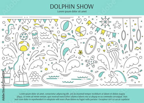 Dolphin show banner