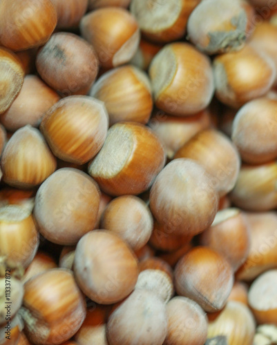 Stack of hazelnuts. Hazelnut background