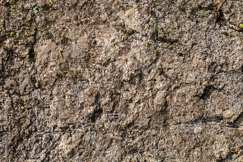Stone texture   background with moss  