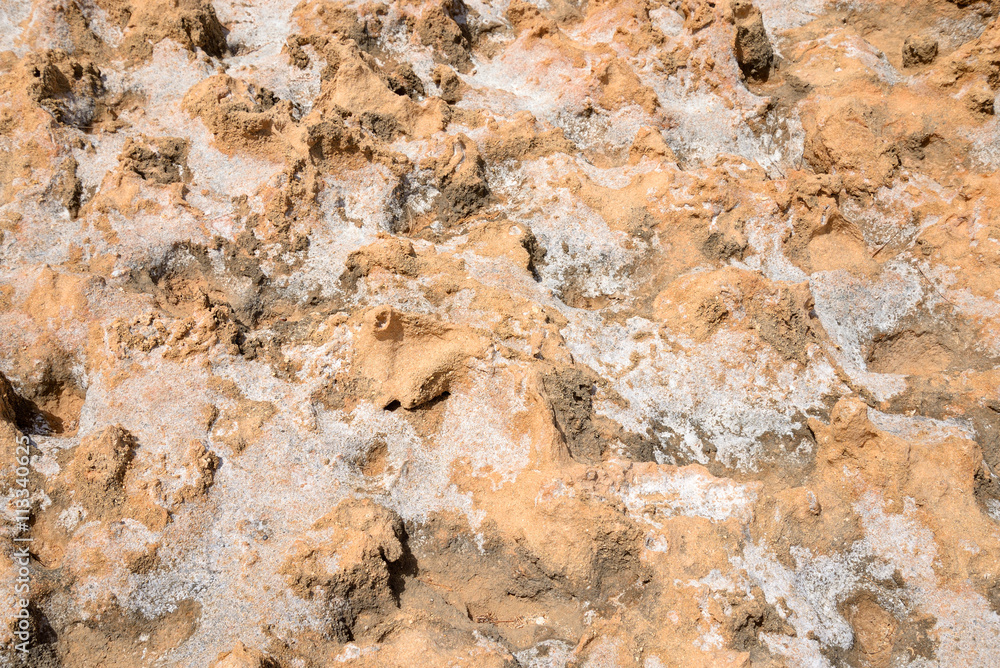 Obraz premium Limestone background close up.