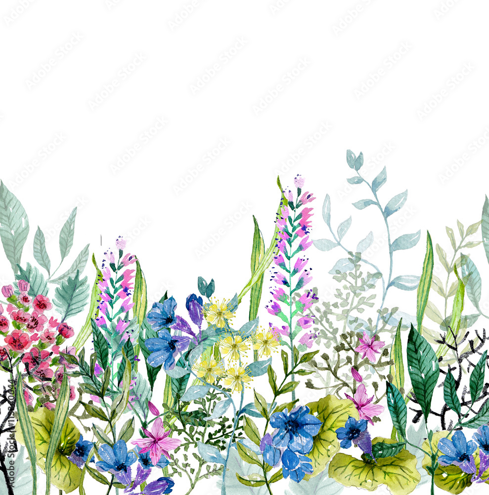 Obraz Akwarela dzikich ziół i kwiatów