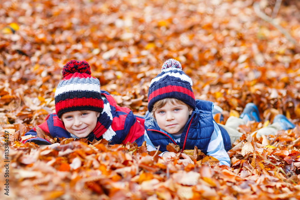 Two little kid boys lying in autumn leaves, in park. Two little kid boys lying in autumn leaves, in park.
