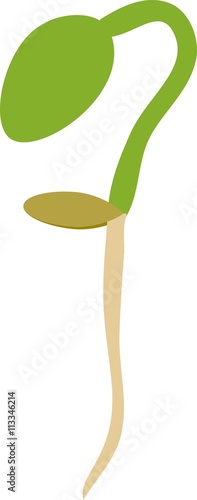 silhouette of sprout