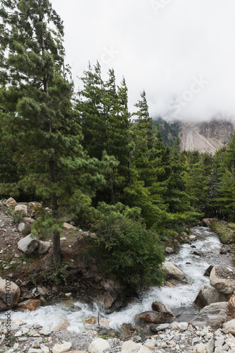 Alpine landscape with forest and stream in Annapurna area, Nepal