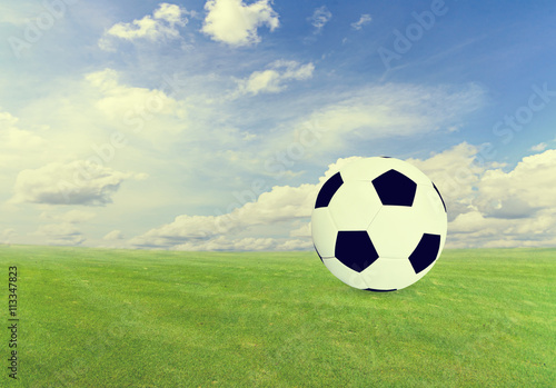 Soccer ball on  green field with blue sky