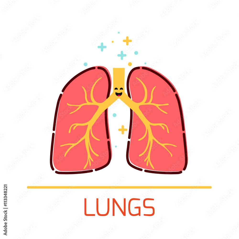 Cute healthy lungs icon made in cartoon style. Lungs cartoon character.  Human body organs anatomy icon. Medical human internal organ symbol.  Medical concept. Vector illustration. Stock Vector | Adobe Stock