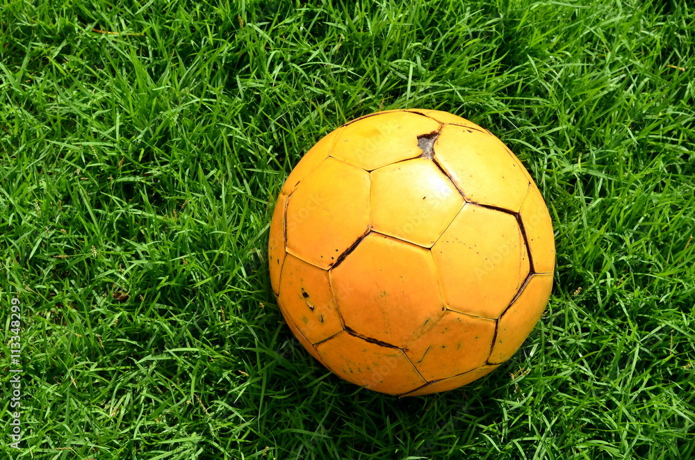 Fototapeta premium Old yellow ball on the lawn,sport outdoor,recreation.
