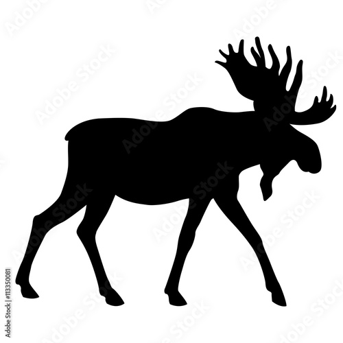 adult moose go black silhouette  © smaliars