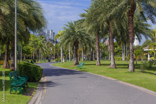 Walking street in the green city public park. © pchais