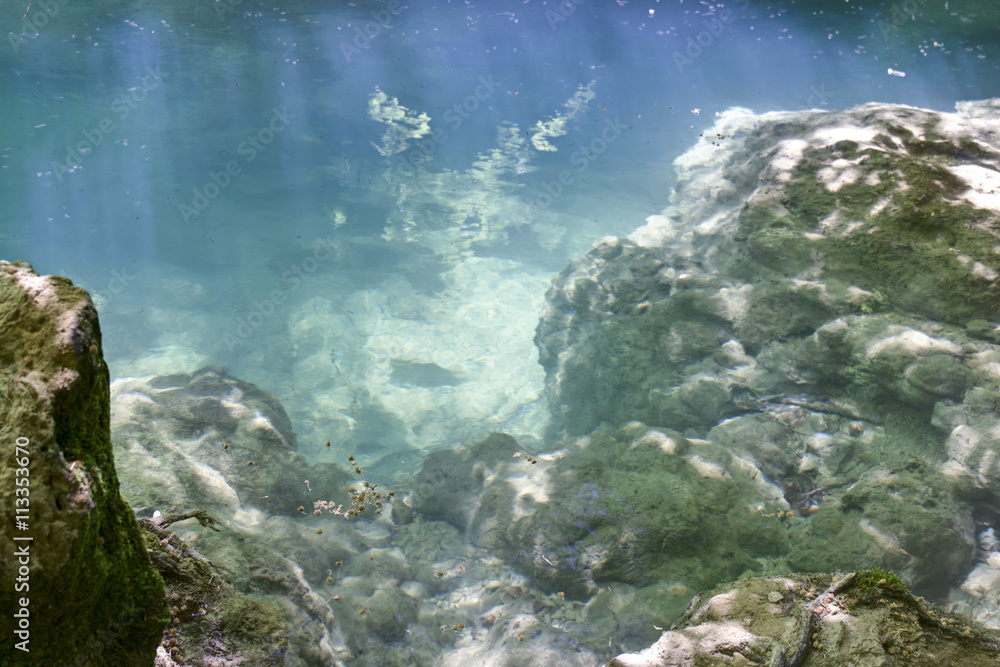 Obraz premium Aguas trasparentes y fondo del río Urederra en la ruta del Nacedero en Navarra