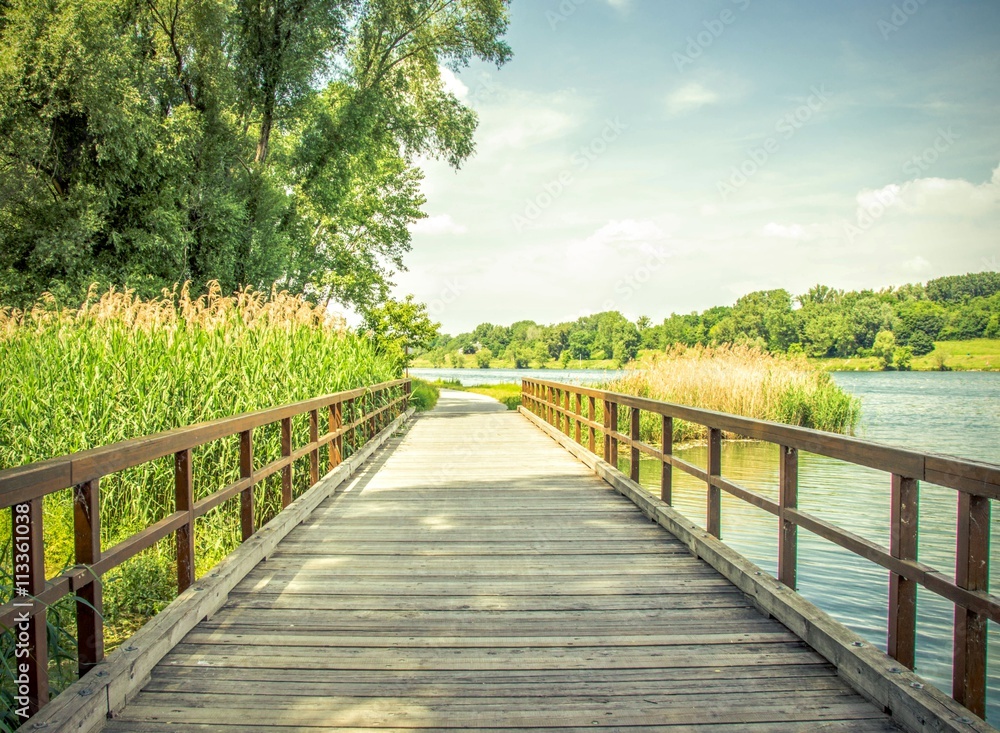 Holzbrücke über Fluss mit Schilf