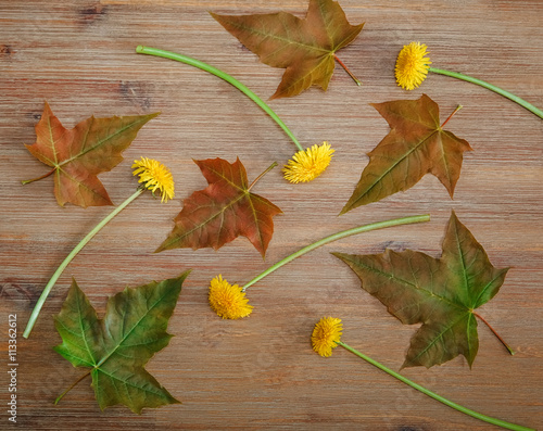 Background from Green Leaves,Yellow Dandelions on the Wooden Table.Autumn Meadow Texture.Top View photo