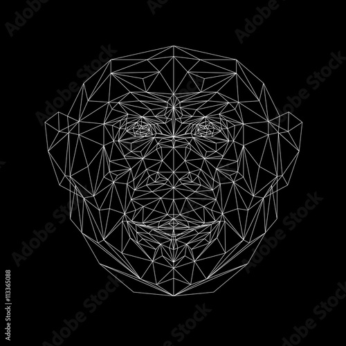 Vector portrait of monkey thin line style. Triangle illustration monkey for use as a print on t-shirt and poster. Geometric low poly chimpanzee design. African animal mammal. Monkey polygonal icon.