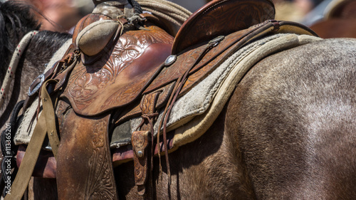 Detail of horse's leather saddle, blanket and other tack