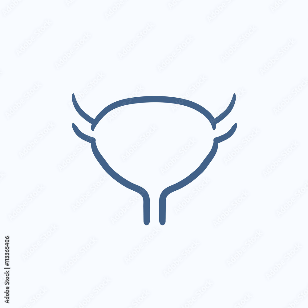 Fototapeta premium Urinary bladder sketch icon.